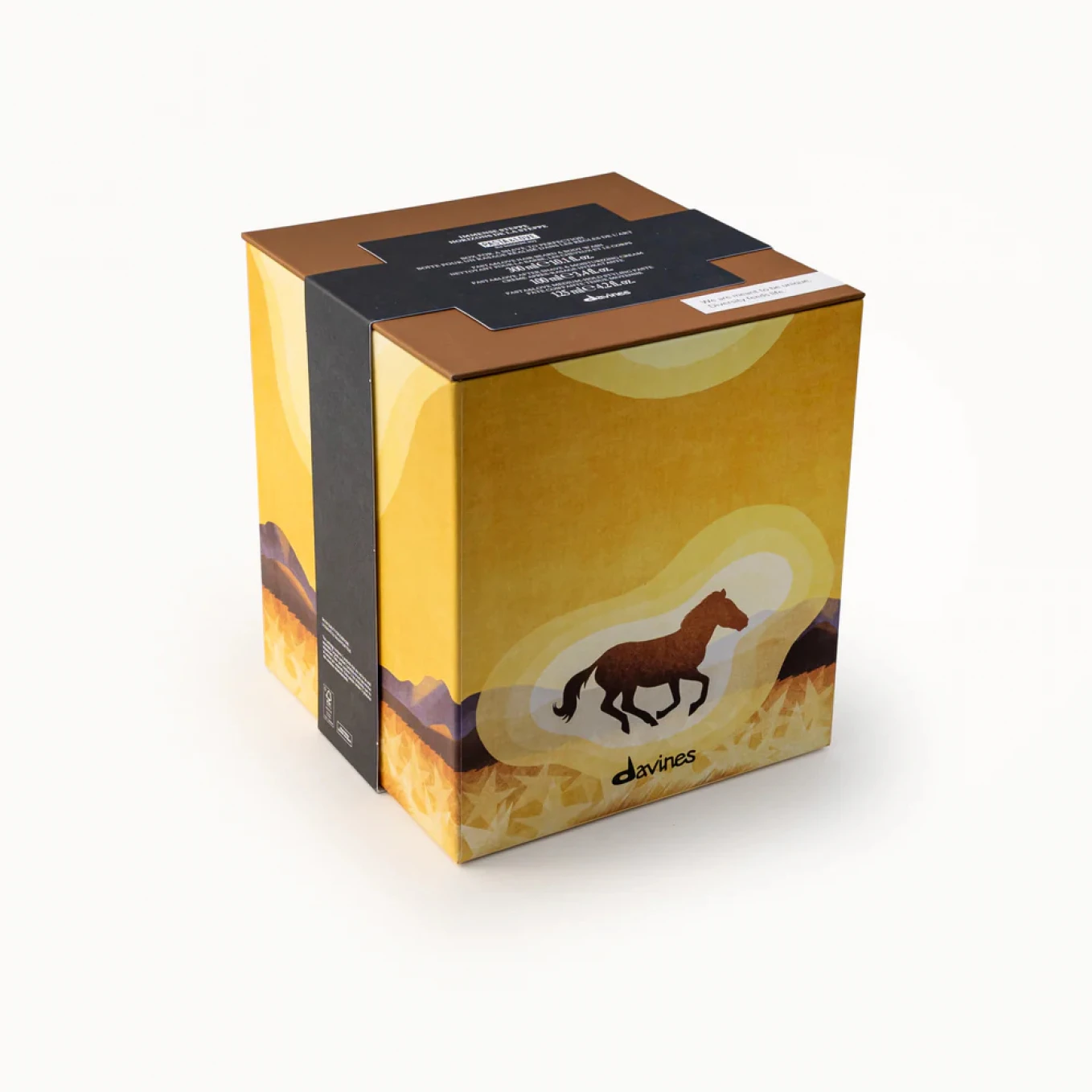 Pachet Davines Pasta&Love Immense Steppe - Pentru barbati [2]