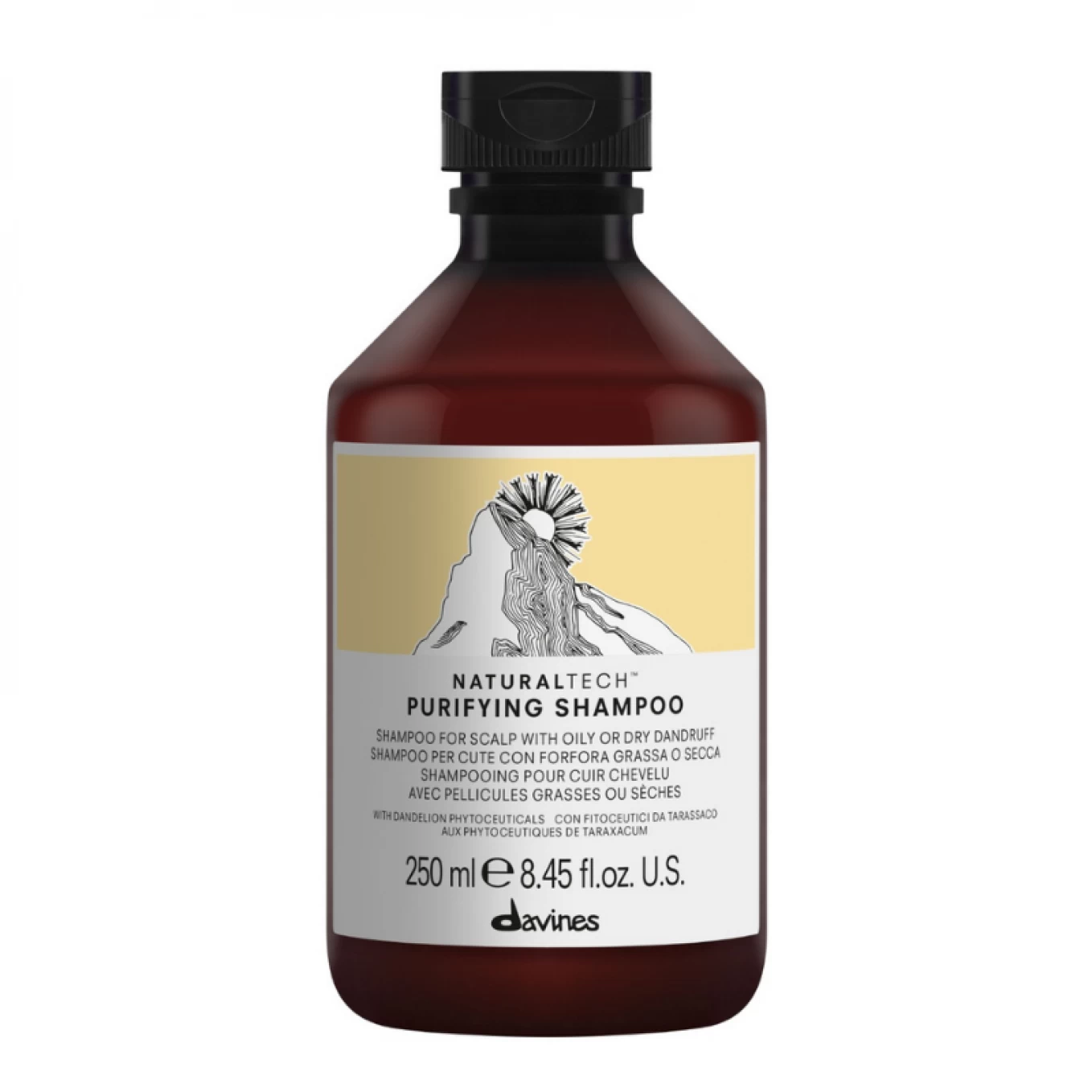 Pachet antimatreata - Davines Naturaltech Purifying Shampoo - 250 ml - Naturaltech Purifying Anti-Dandruff Gel - 150 ml [1]