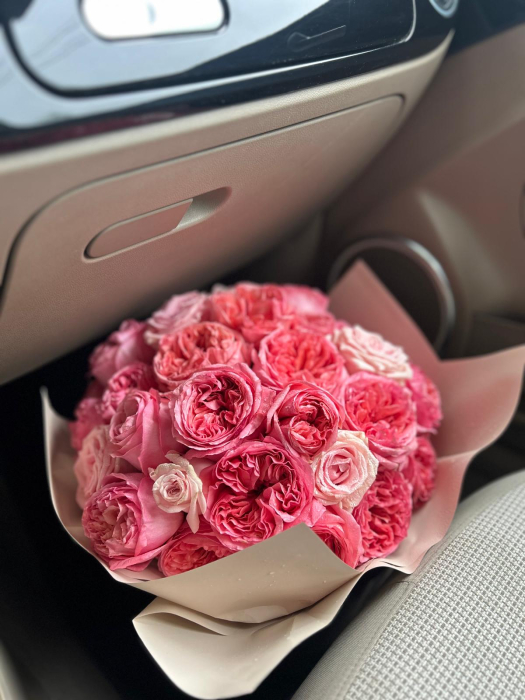 Blush Romance [2]