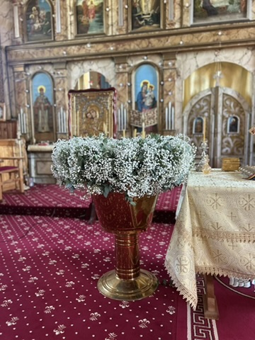 Botez [5]