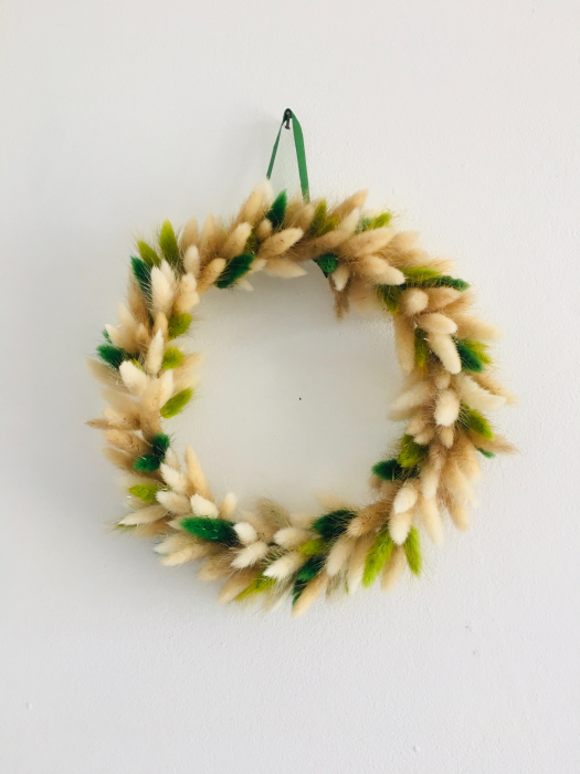 Coronita usa lagurus [3]