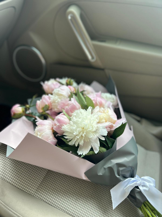 Peony Blush [2]
