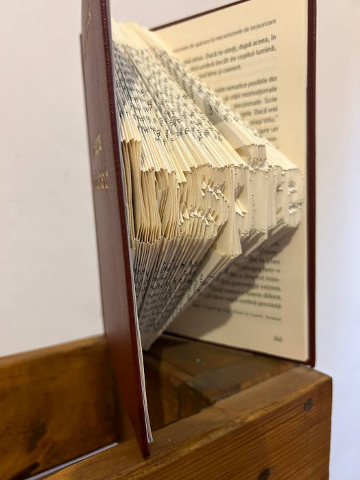 Petals and Pages [4]