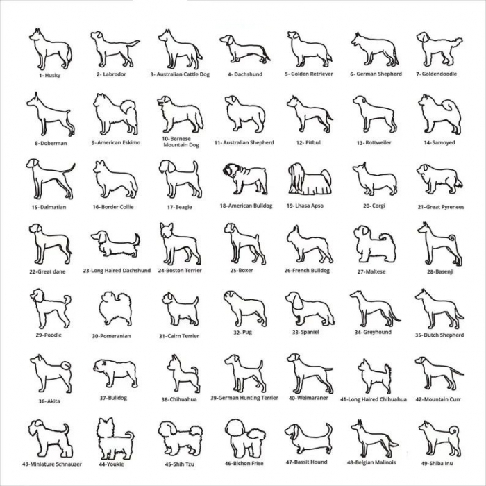 LOVE MY DOG, Lantisor Argint 925, Pandantiv [3]