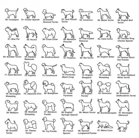 LOVE MY DOG, Lantisor Argint 925, Pandantiv [3]