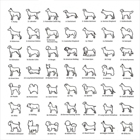 LOVE MY DOG, Lantisor Argint 925, Pandantiv [2]