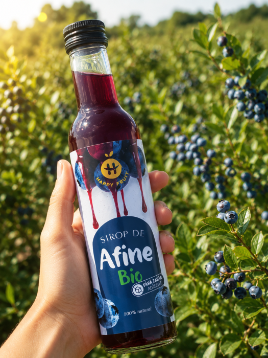 Sirop de afine BIO fara zahar 250ml [2]
