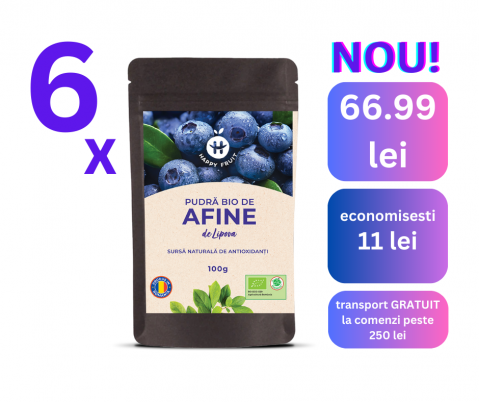 Fructe procesate - Pachet pudra afine BIO 100% PROMO