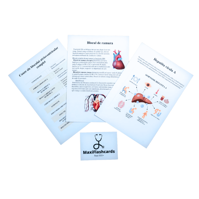 Maxi Flashcards Kumar [1]