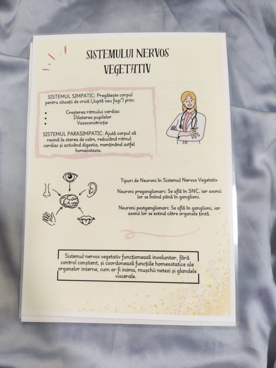 Planșe Sistemul Nervos Admitere Barrons [3]