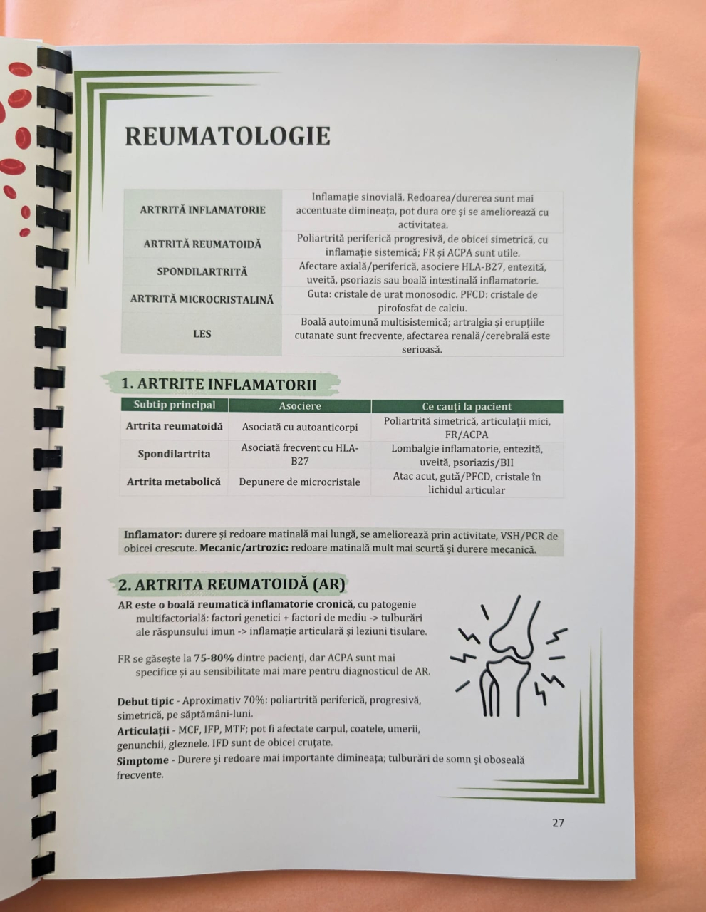 Sinteza Rezidentiat Kumar [5]