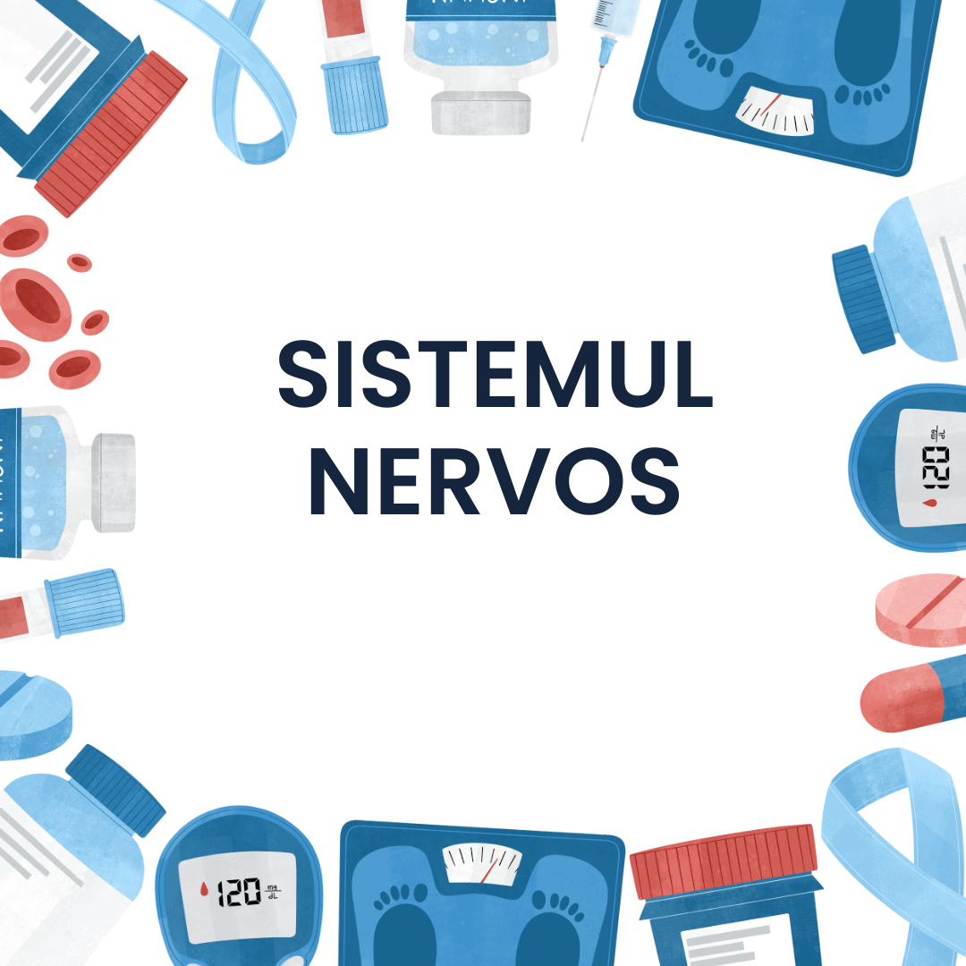 Sistemul Nervos Flashcarduri Barron's [3]