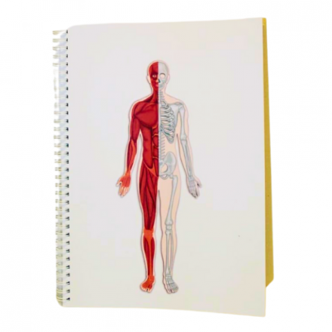 Caiete A4 - Musculosckeletal sistem