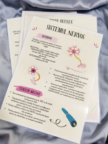 Admitere Medicina - Planșe Sistemul Nervos Admitere Barrons