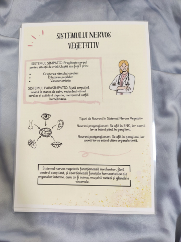 Planșe Sistemul Nervos Admitere Barrons [2]