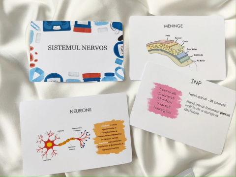 Sistemul Nervos Flashcarduri Barron's [1]
