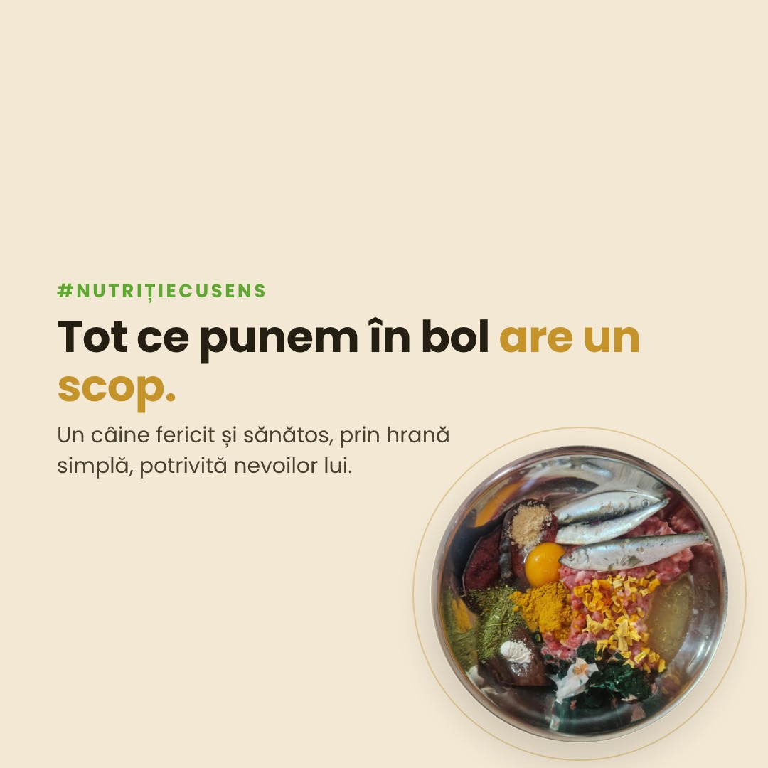 Tot ce punem în bol are un scop