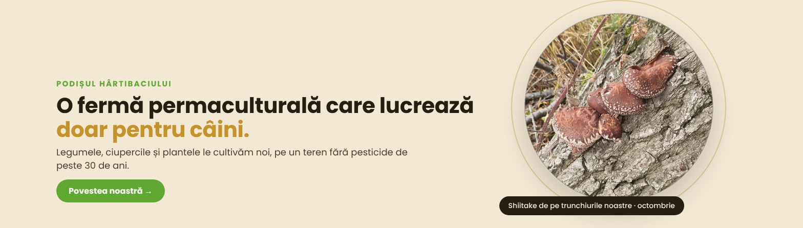 O fermă permaculturală care lucrează doar pentru câini