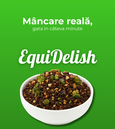 Cât mănâncă un câine pe zi? Ghid complet + tabel orientativ