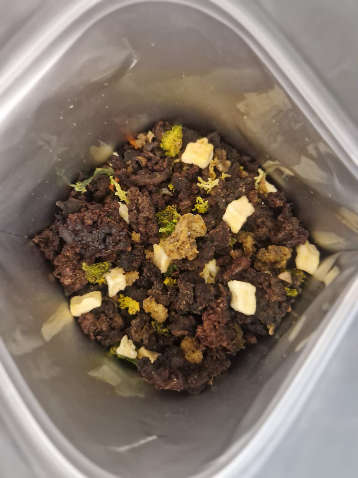 Câine cu alergii alimentare? Ce să mănânce și cum îl ajuți natural