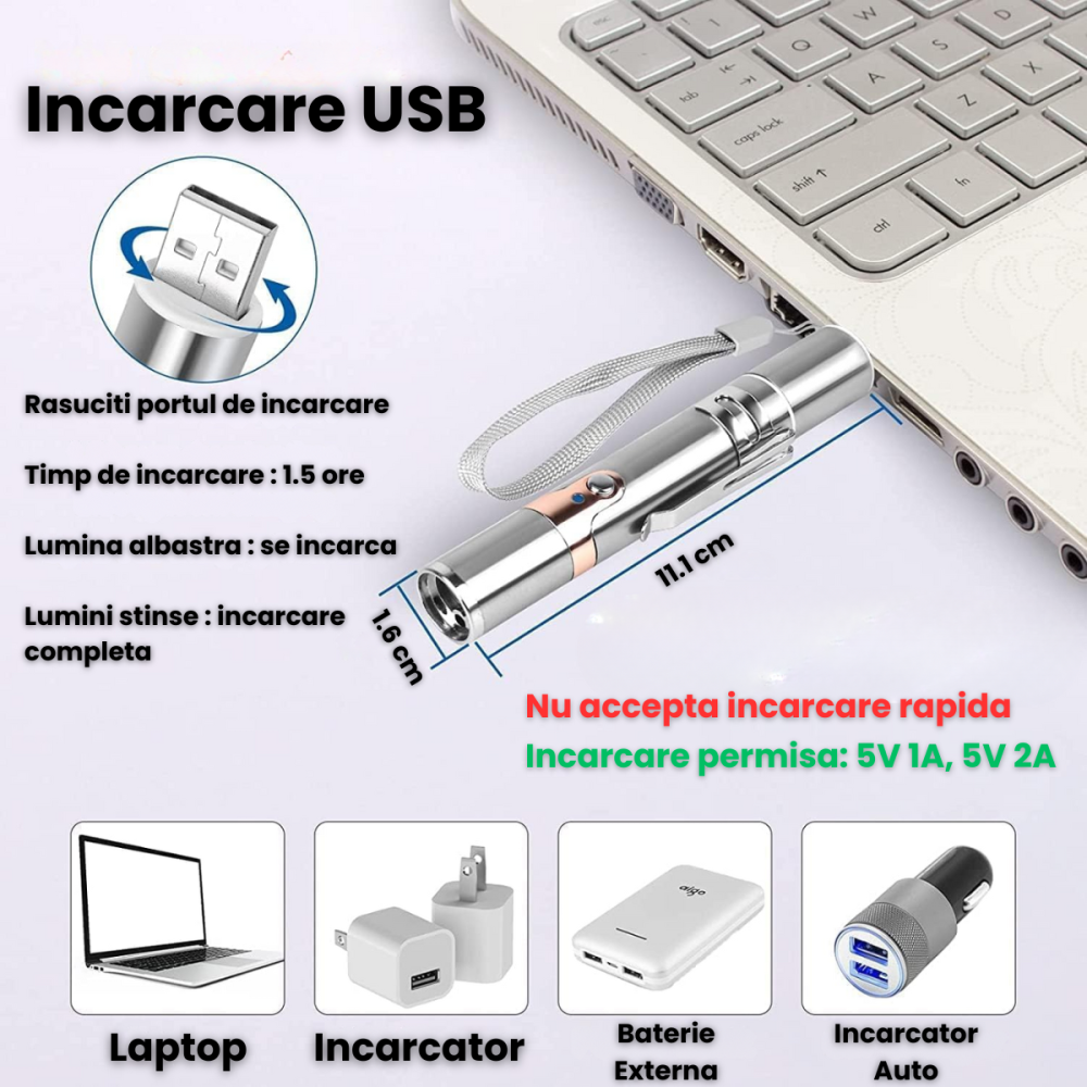 Jucarie Interactiva Pentru Pisici Si Caini HASEPE Laser Pointer Reincarcabil USB, Jucarie Interactiva Cu 7 Moduri Ajustabile, Jucarie Interactiva Cu Lanterna LED, Otel Inoxidabil, Argintiu, Pentru Joa [5]