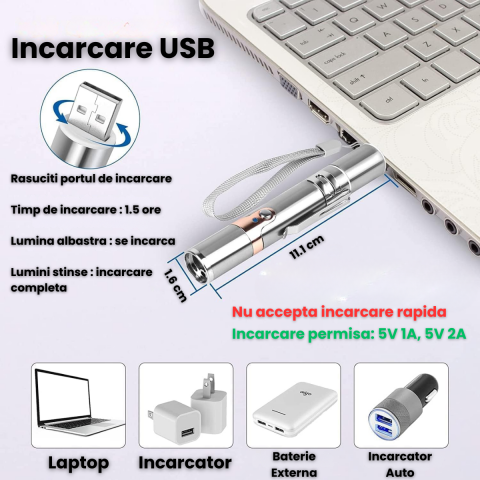 Jucarie Interactiva Pentru Pisici Si Caini HASEPE Laser Pointer Reincarcabil USB, Jucarie Interactiva Cu 7 Moduri Ajustabile, Jucarie Interactiva Cu Lanterna LED, Otel Inoxidabil, Argintiu, Pentru Joa [4]