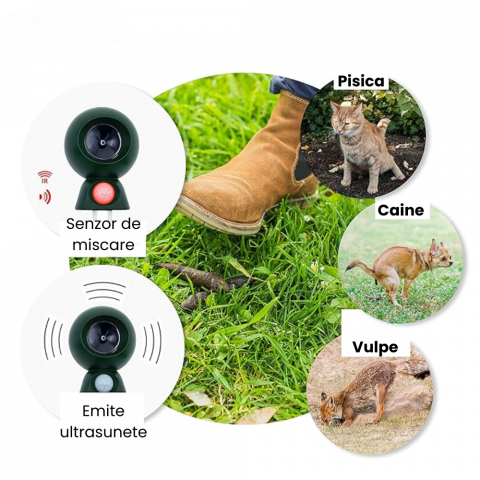 Aparat anti caini si pisici HASEPE, cu ultrasunete, senzor de miscare, rezistent la apa,mod stand by, Verde [4]