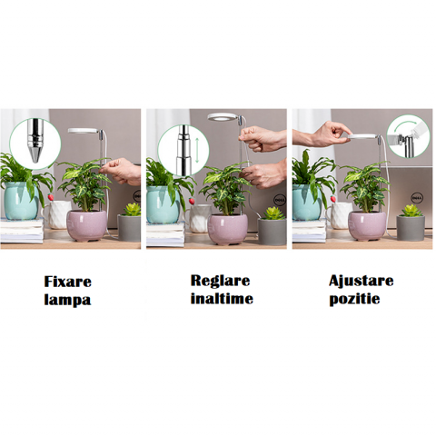 Lampă Creștere Plante Indoor HASEPE, Spectrum Complet, Timer Automat 4/8/12h, Intensitate Reglabilă, Înălțime Ajustabilă, Alimentare USB, LED Alb Neutru [2]