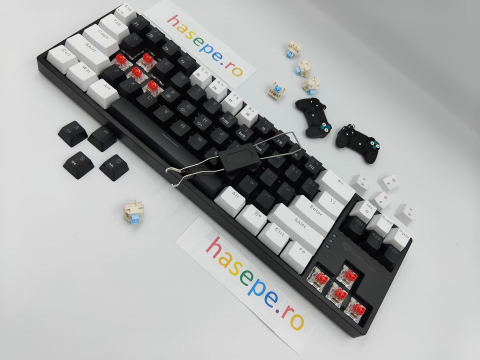 Tastatura Mecanica pentru Gaming, Leaven K710 E-sports, Iluminare RGB, Compatibila Windows si MAC, USB Type C [6]