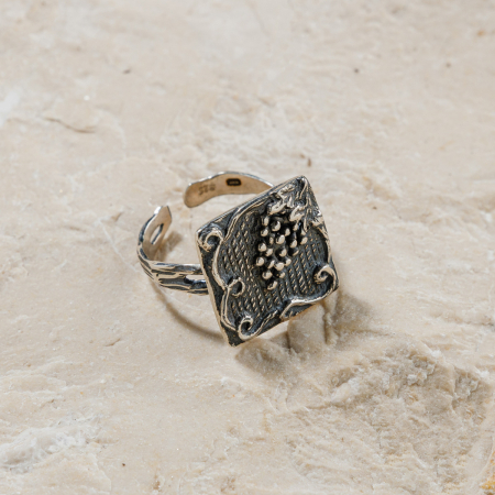 INELE FĂRĂ PIETRE - Vazé