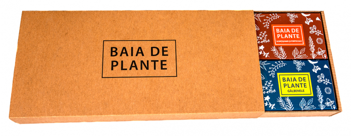 sapun-Baia-de-plante-cutie-cadou-6-sapunuri [3]
