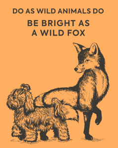 wilda-siberica-sampon-pentru-stralucire-pentru-animale-de-companie-600x901 [2]