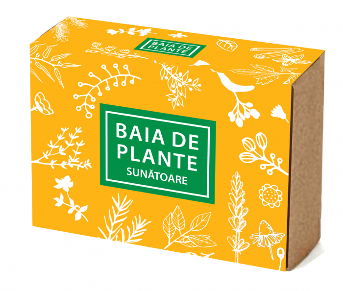 sapun_sunatoare-baia_de_plante [2]