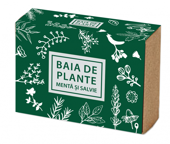 sapun_natural_menta_si_salvie_baia_de_plante [2]