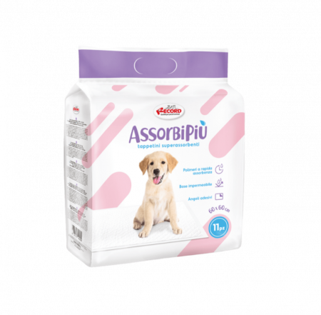 assorbipiu_covorase_60x60_11buc