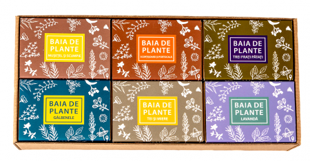 Toate Produsele - sapun-Baia-de-plante-cutie-cadou-6-sapunuri