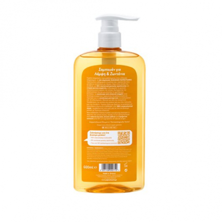 karavaki-sampon-reparator-shine-600ml-normal [1]