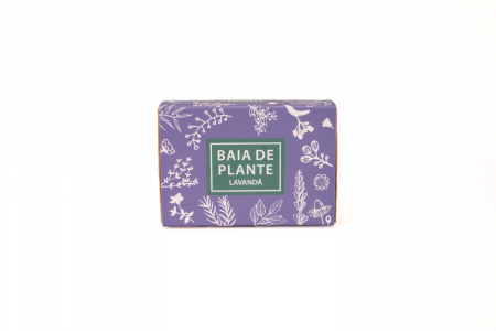 sapun_lavanda-baia_de_plante [2]