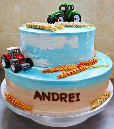 Torturi botez - Tort Botez Harvest Blessing