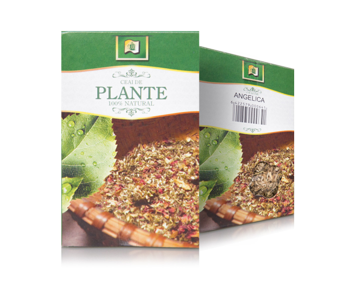 Angelica 50gr - Stef Mar [1]