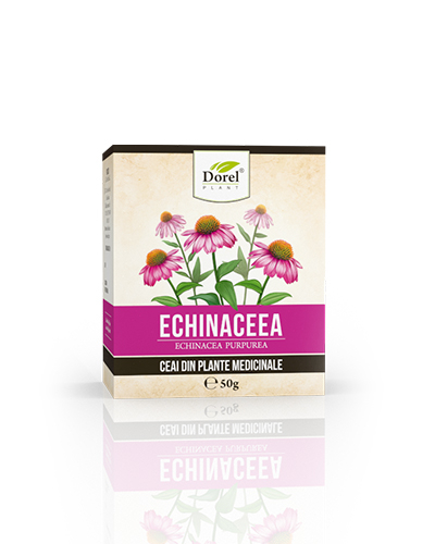 Ceai de echinaceea 50gr - Dorel Plant [1]