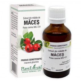 Extract din mladite de maces 50ml - Plantextrakt [1]