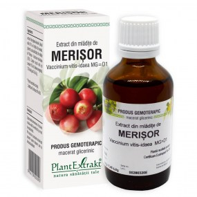 Extract din mladite de merisor 50ml - Plantextrakt [1]