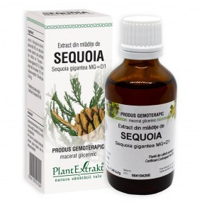 Extract din mladite de sequoia 50ml - Plantextrakt [1]