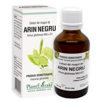 Extract din muguri de arin negru 50ml - Plantextrakt [1]