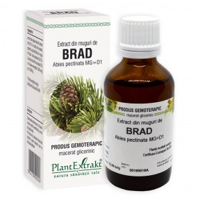 Extract din muguri de brad 50ml - Plantextrakt [1]