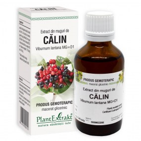 Extract din muguri de calin 50ml - Plantextrakt [1]