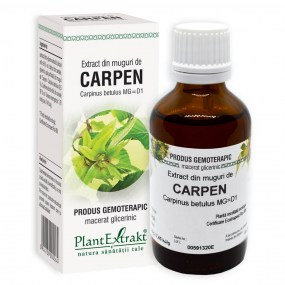 Extract din muguri de carpen 50ml - Plantextrakt [1]