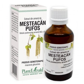 Extract din muguri de mesteacan pufos 50ml - Plantextrakt [1]