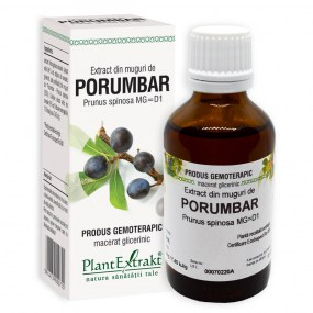 Extract din muguri de porumbar 50ml - Plantextrakt [1]
